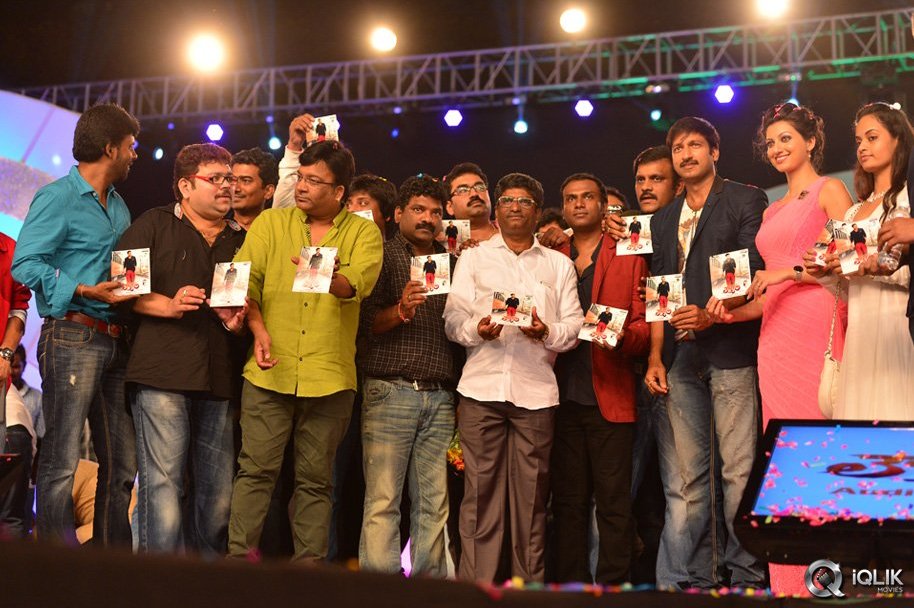 Loukyam-Movie-Audio-Launch
